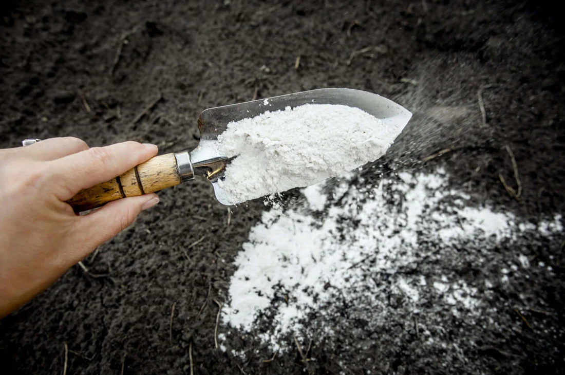 Ventajas del Carbonato de Calcio en Agricultura